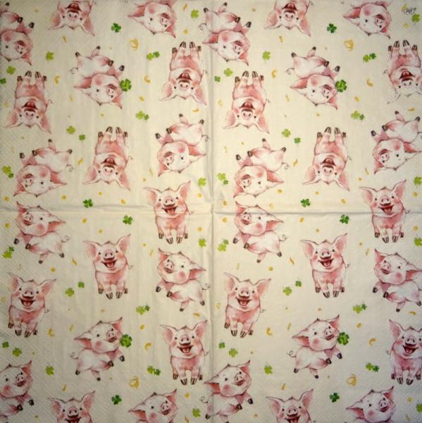 080 Pigs - 3-ply - Nouveau